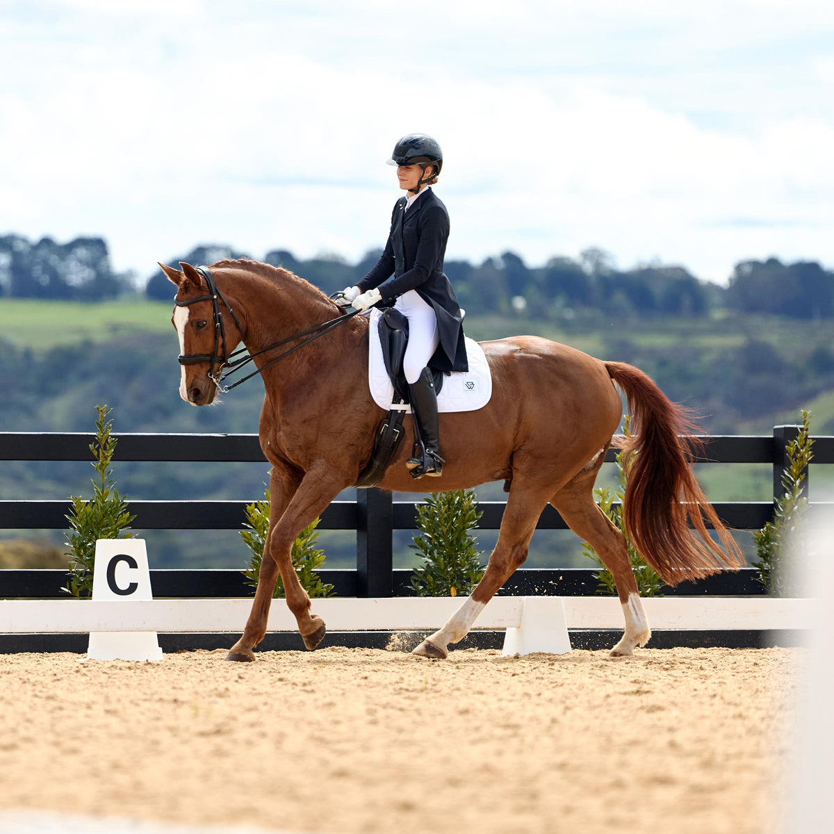 Weatherbeeta Satin Luxe Air-Tec Dressage Saddle Saddle Pad - White Lifestyle