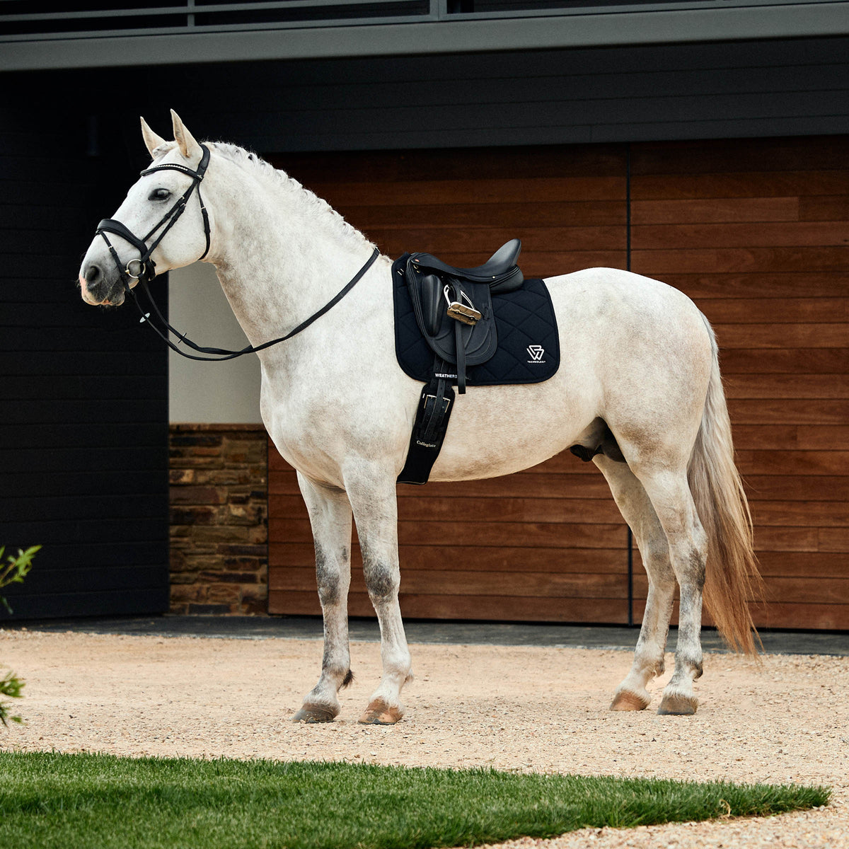 Weatherbeeta Soft Shell Pro 3D Air-Tec Dressage Saddle Pad - 2