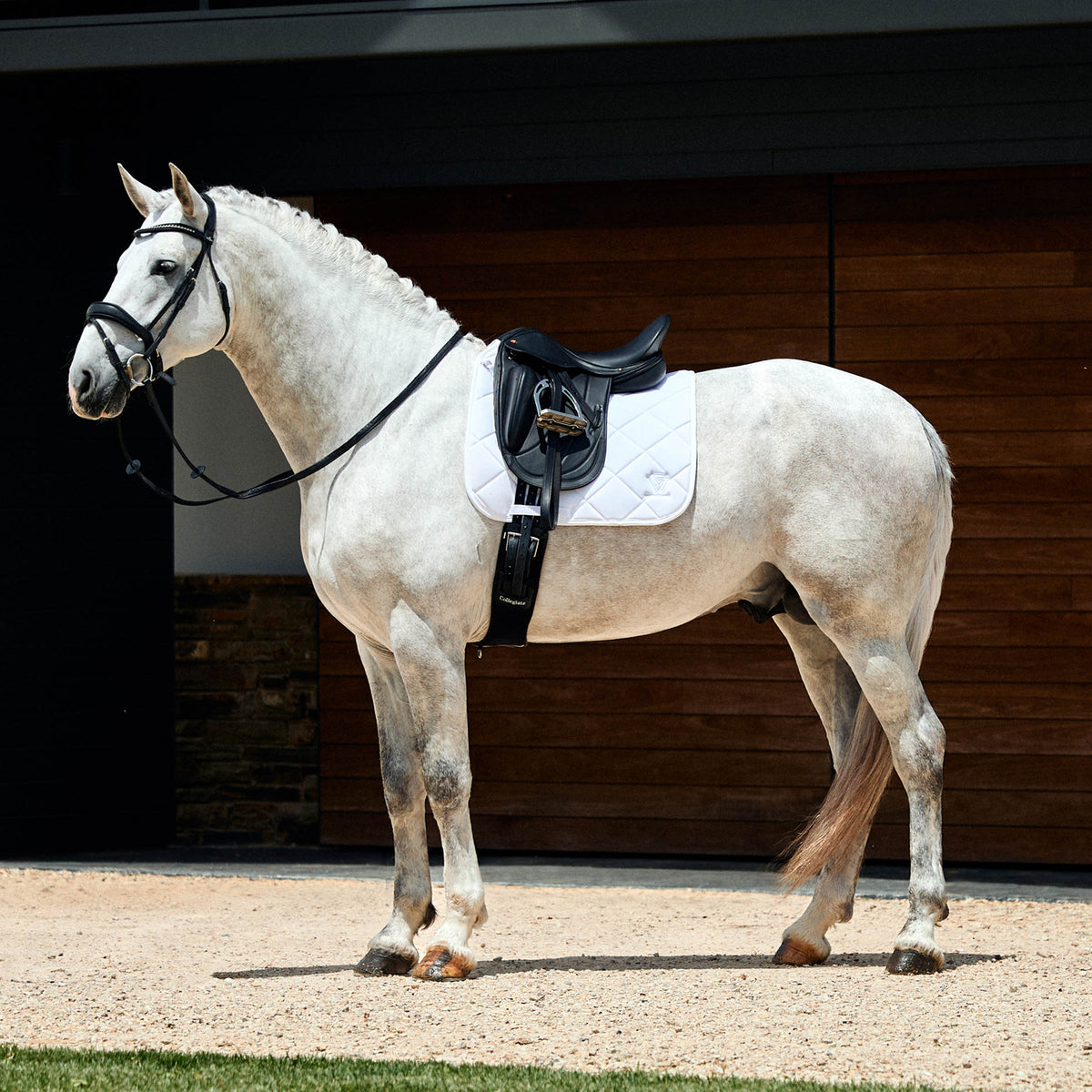 Weatherbeeta Soft Shell Pro 3D Air-Tec Dressage Saddle Pad - 3