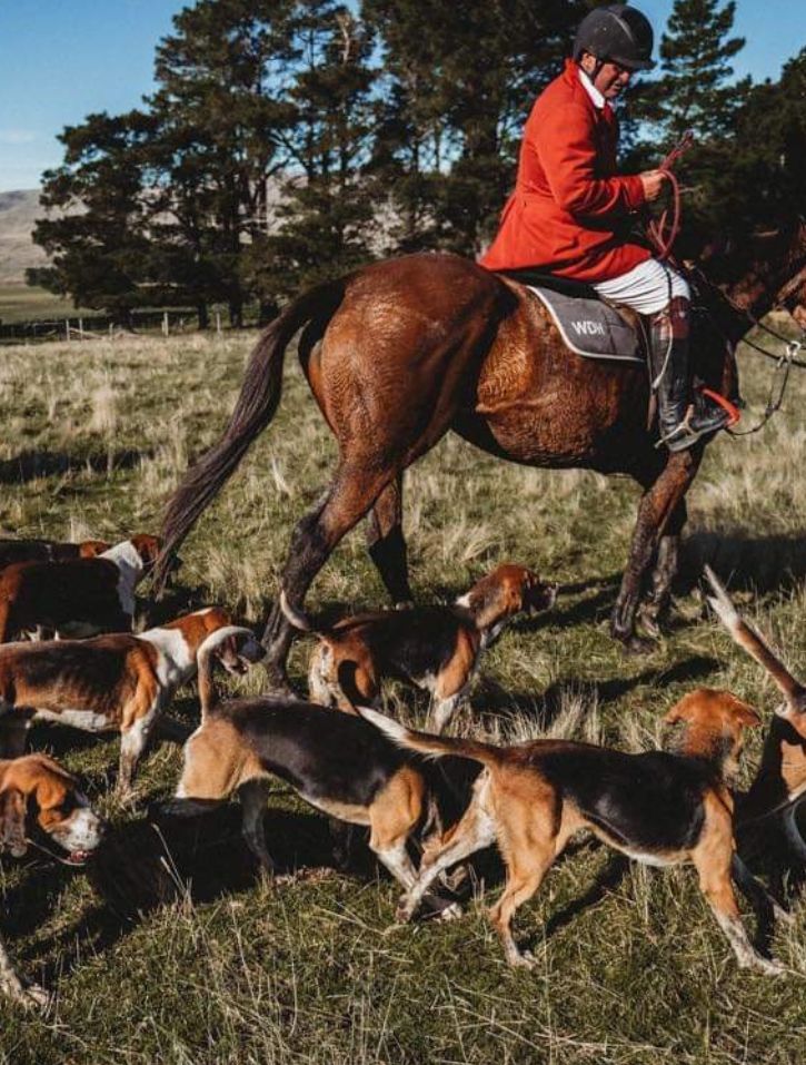 Whistle & Pop Hunter Gatherer Jumping Pony Hoops