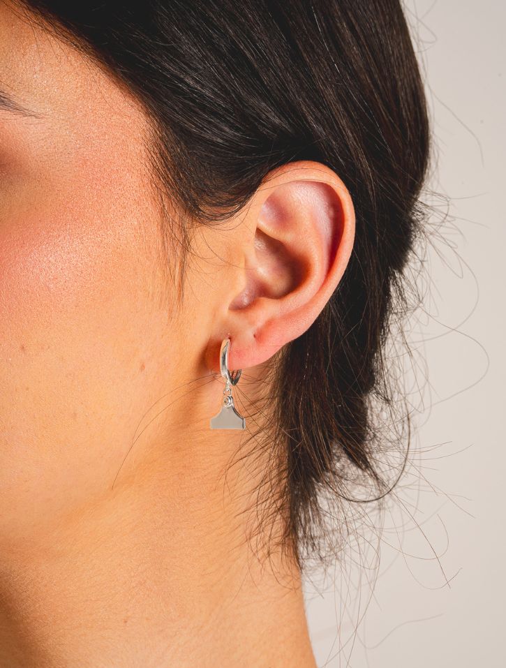 Whistle & Pop High Country Cattle Tag Huggies Zicon Stones