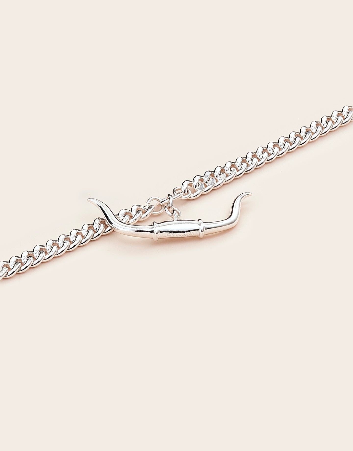 Whistle & Pop Trailblazer Longhorn Necklace