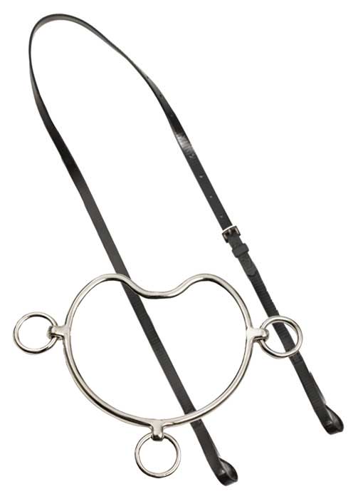 Zilco Anti-Rearing Bit & Strap