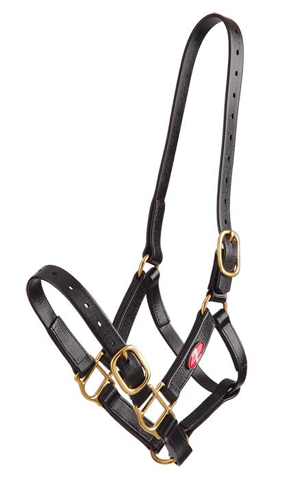 Zilco PN Headstall