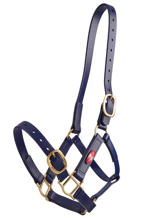 Zilco PN Headstall