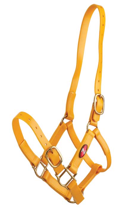 Zilco PN Headstall