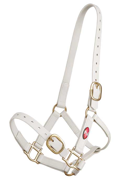 Zilco PN Headstall
