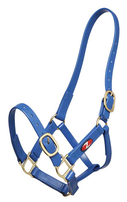 Zilco PN Headstall