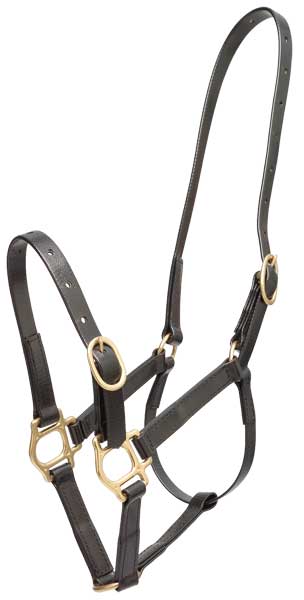 Zilco PN Headstall