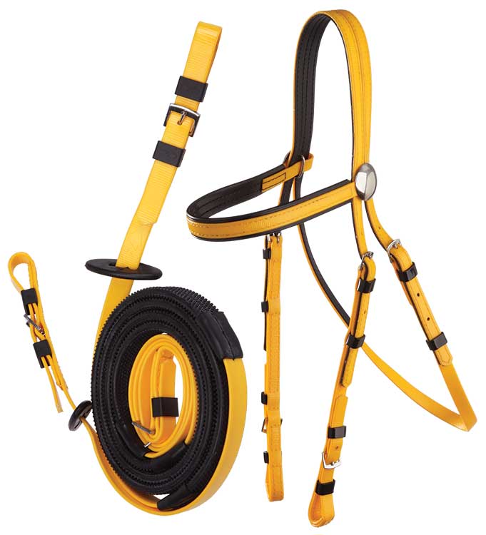 Zilco Race Bridle & Buckle Reins