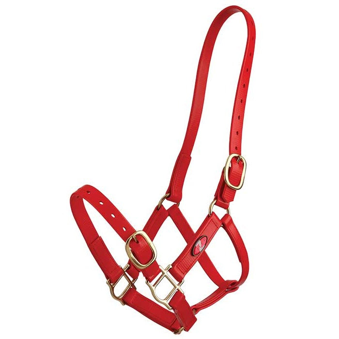 Zilco PN Headstall - 6