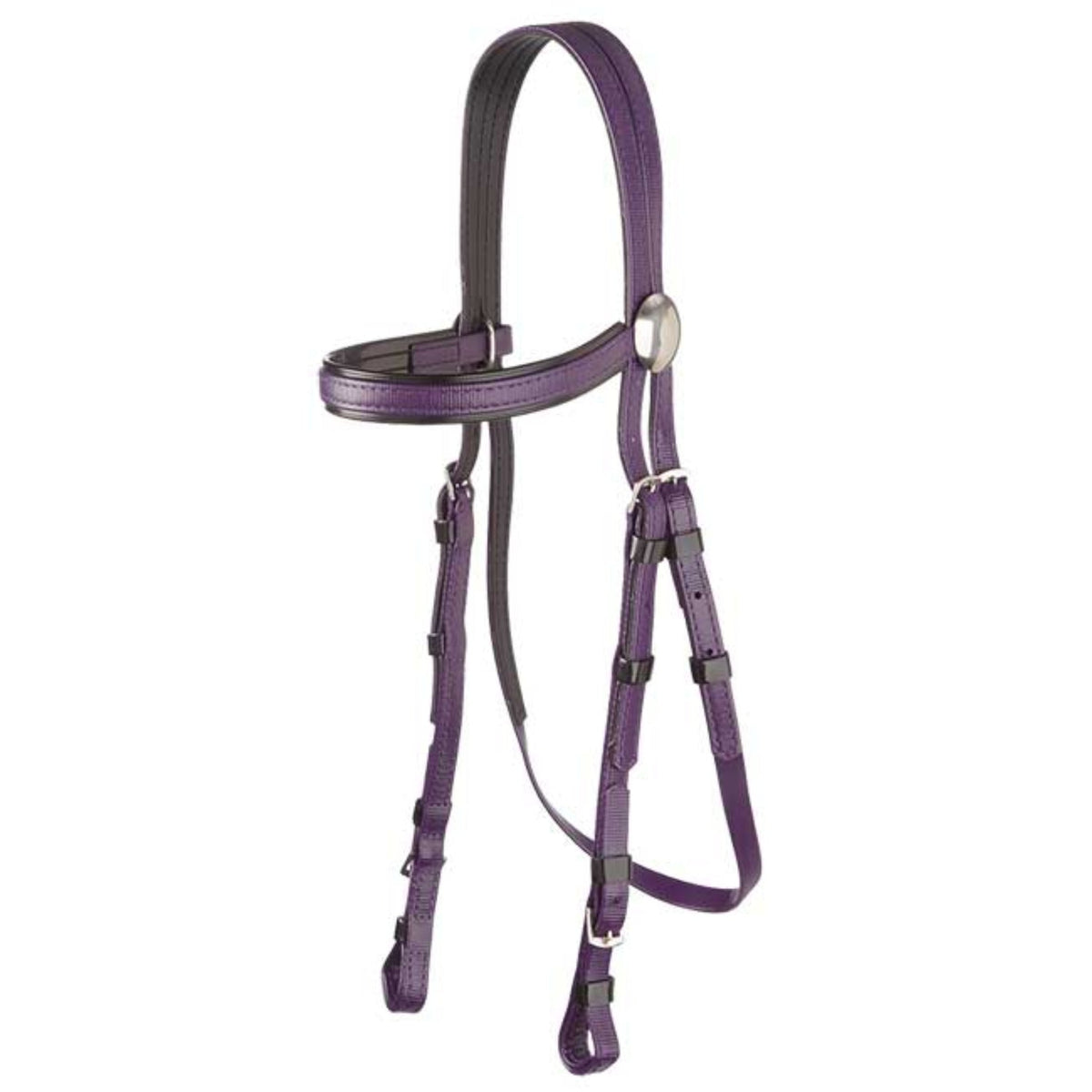 Zilco Race Bridle Black Trim / Purple