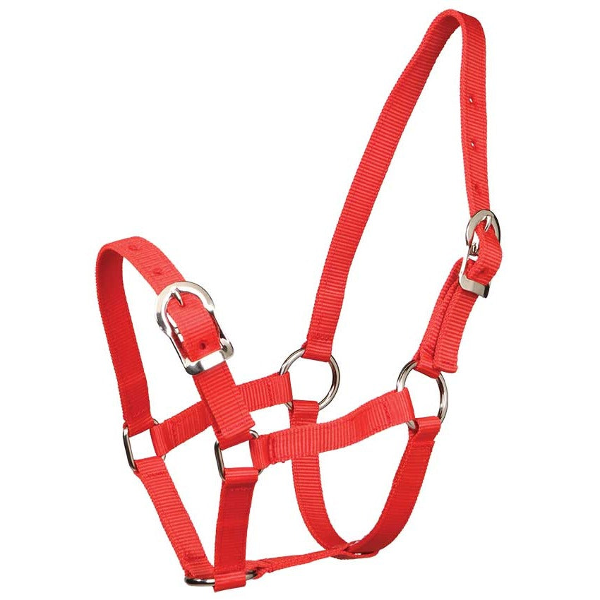 Zilco Small Pony Halter - 3