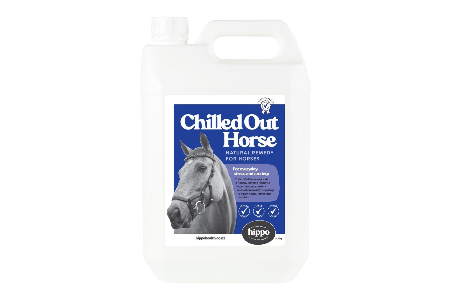 Chilled Out Horse