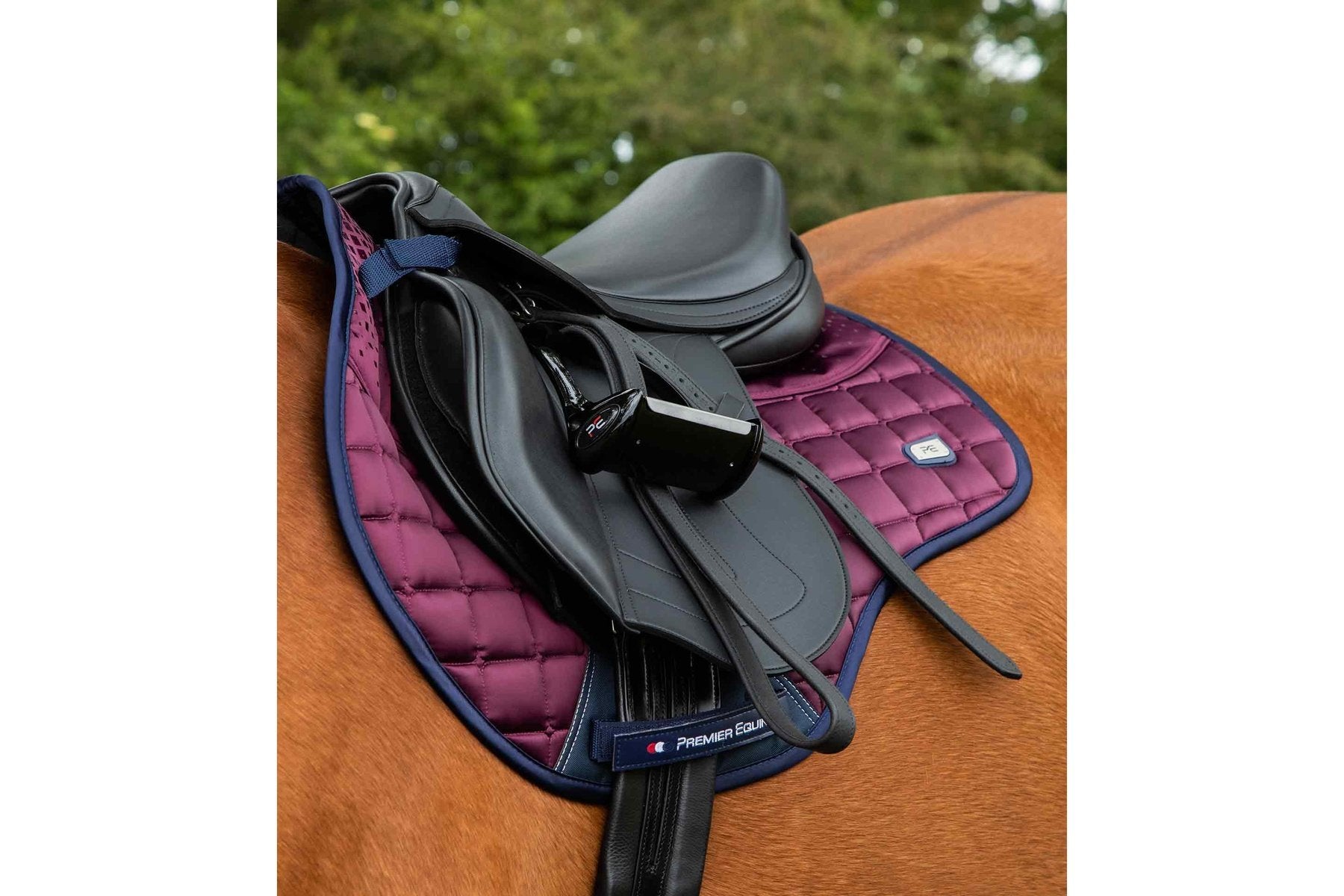 Premier Equine Armada Close Contact GP/Jump Square