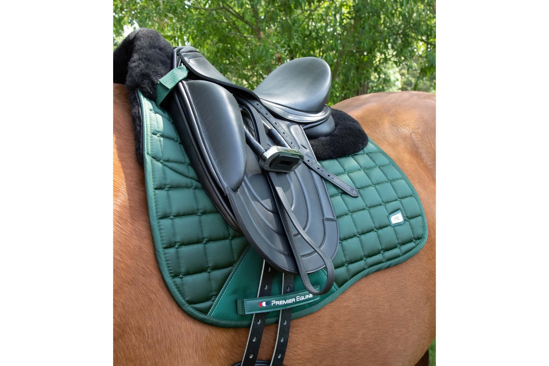 Premier Equine Atlantis CC Satin Wool Dressage Square