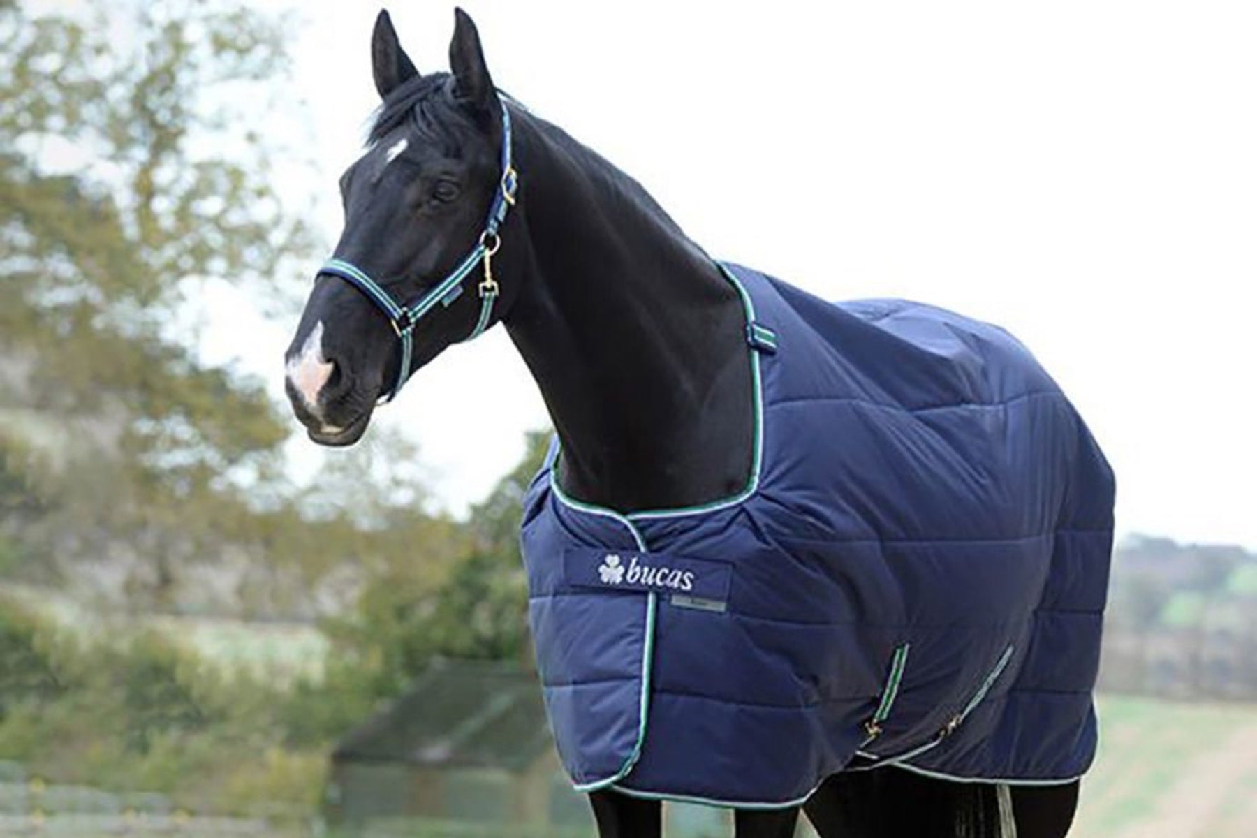Bucas Quilt Rug 600D
