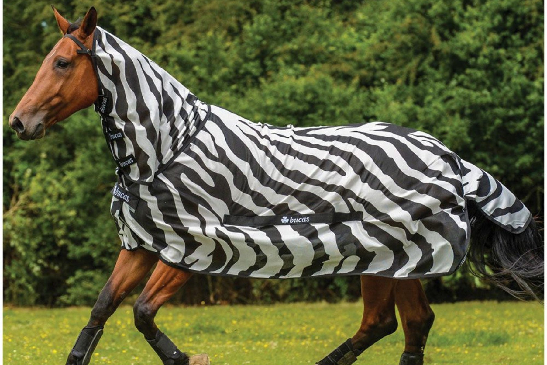 Bucas Rug BuzzOff Zebra
