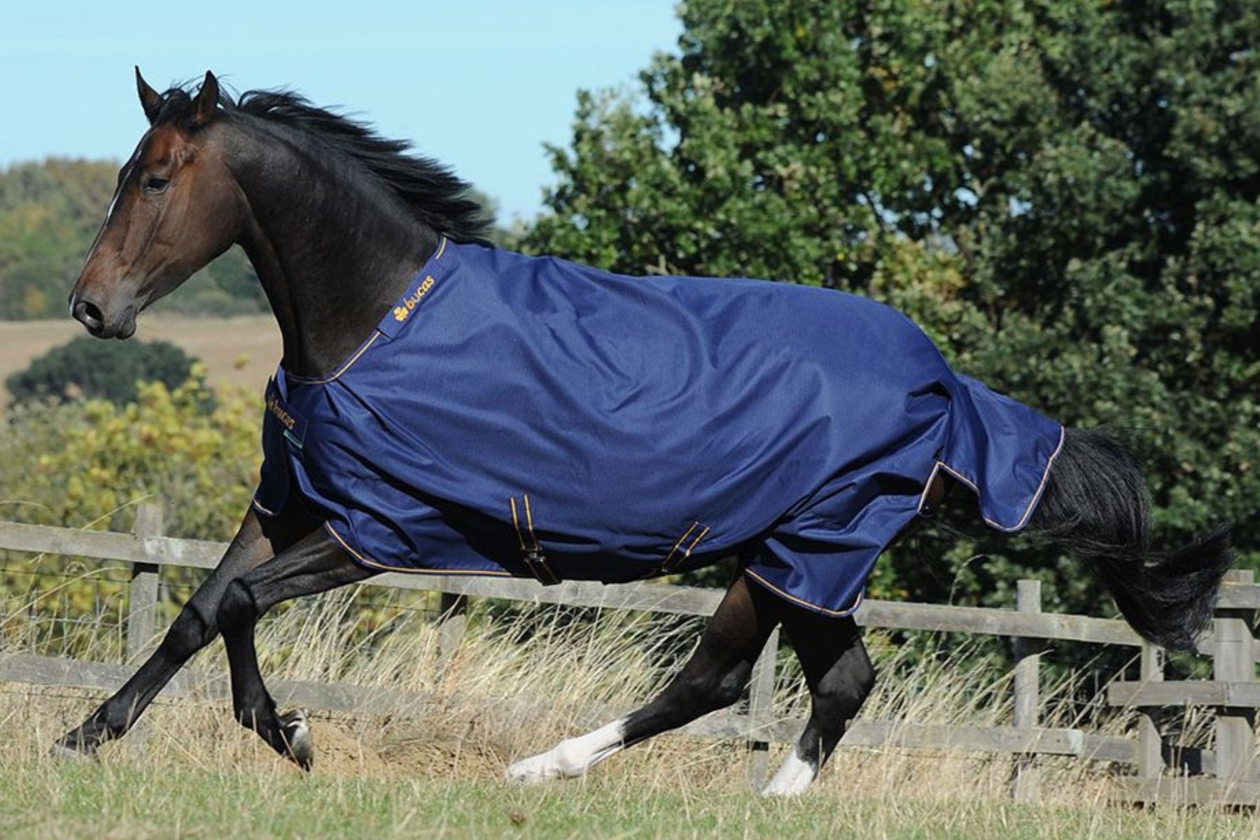 Bucas Rug Irish 1200D Navy