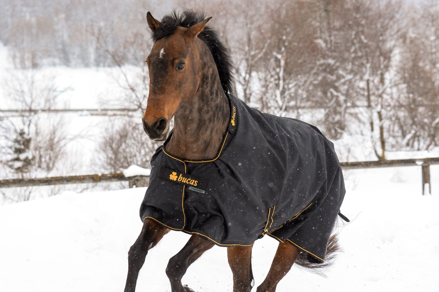 Bucas Rug Irish 1200D Black
