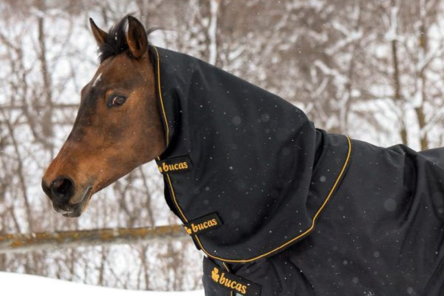 Bucas Rug Irish Black 1200D Neck