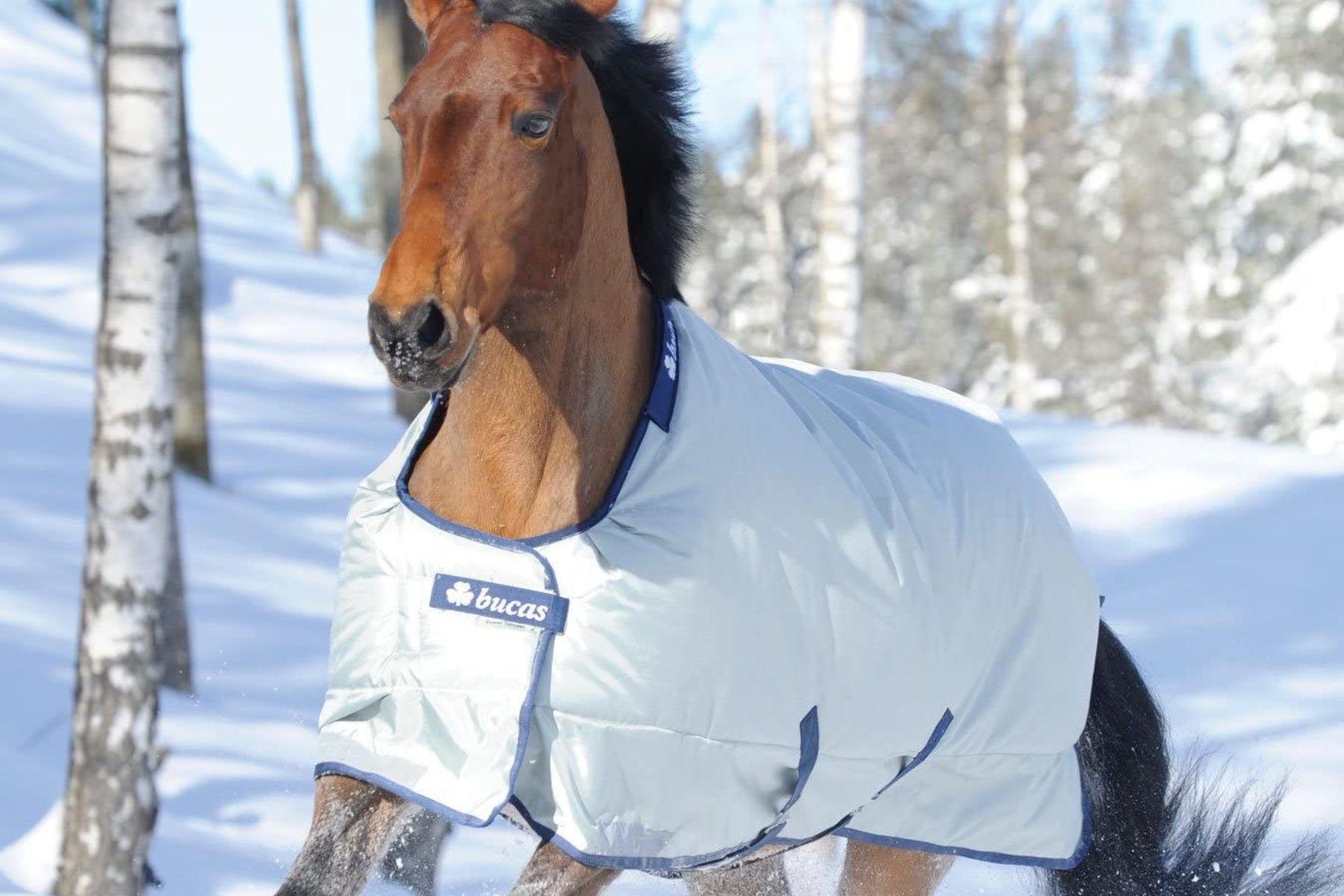 Bucas Rug Power Big Neck