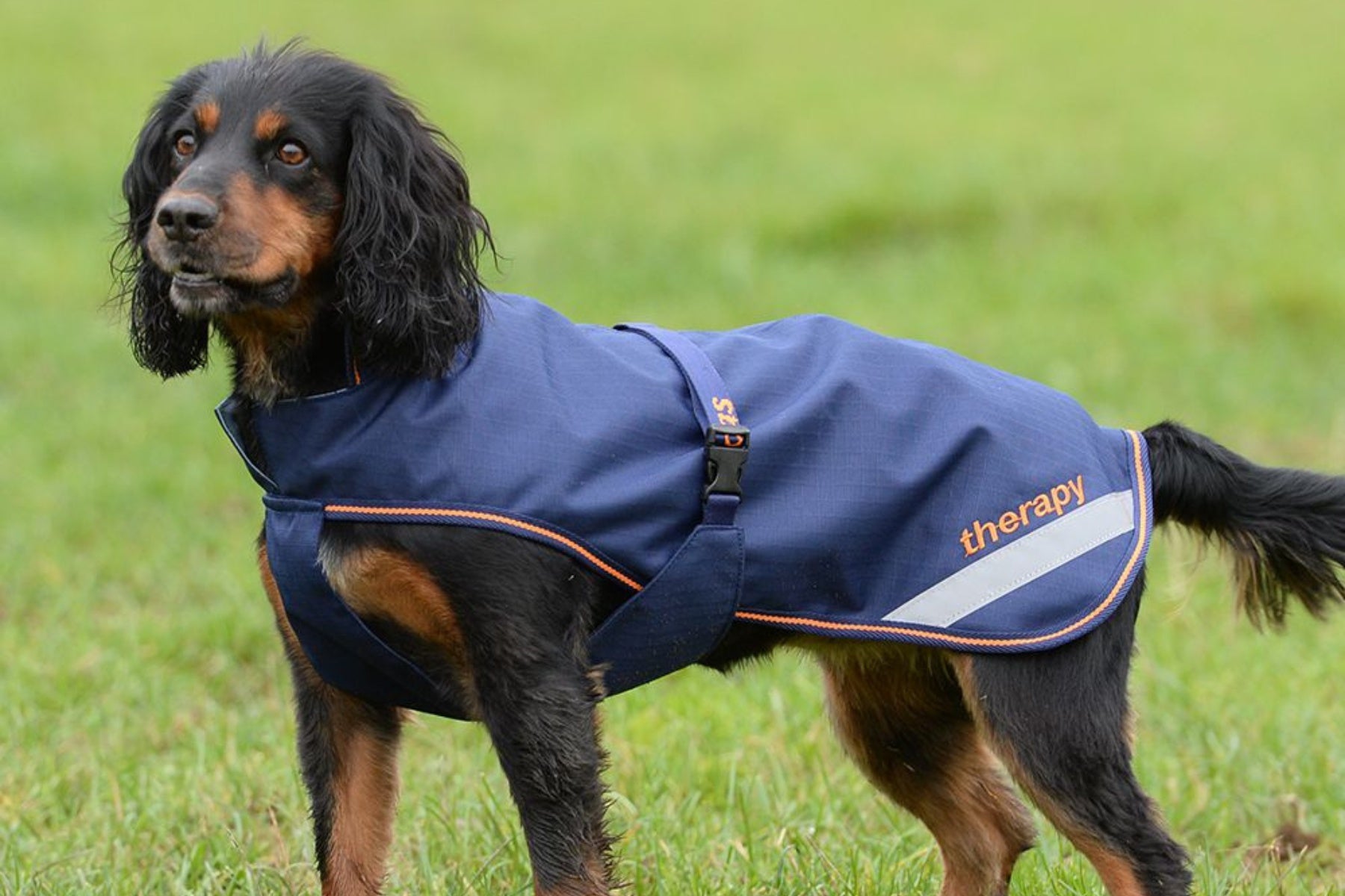 Magnetic therapy hot sale dog coat