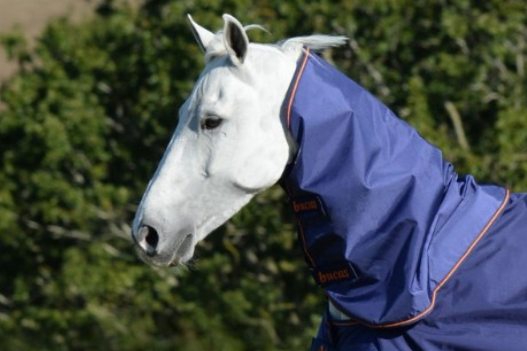 Bucas Therapy Turnout Neck