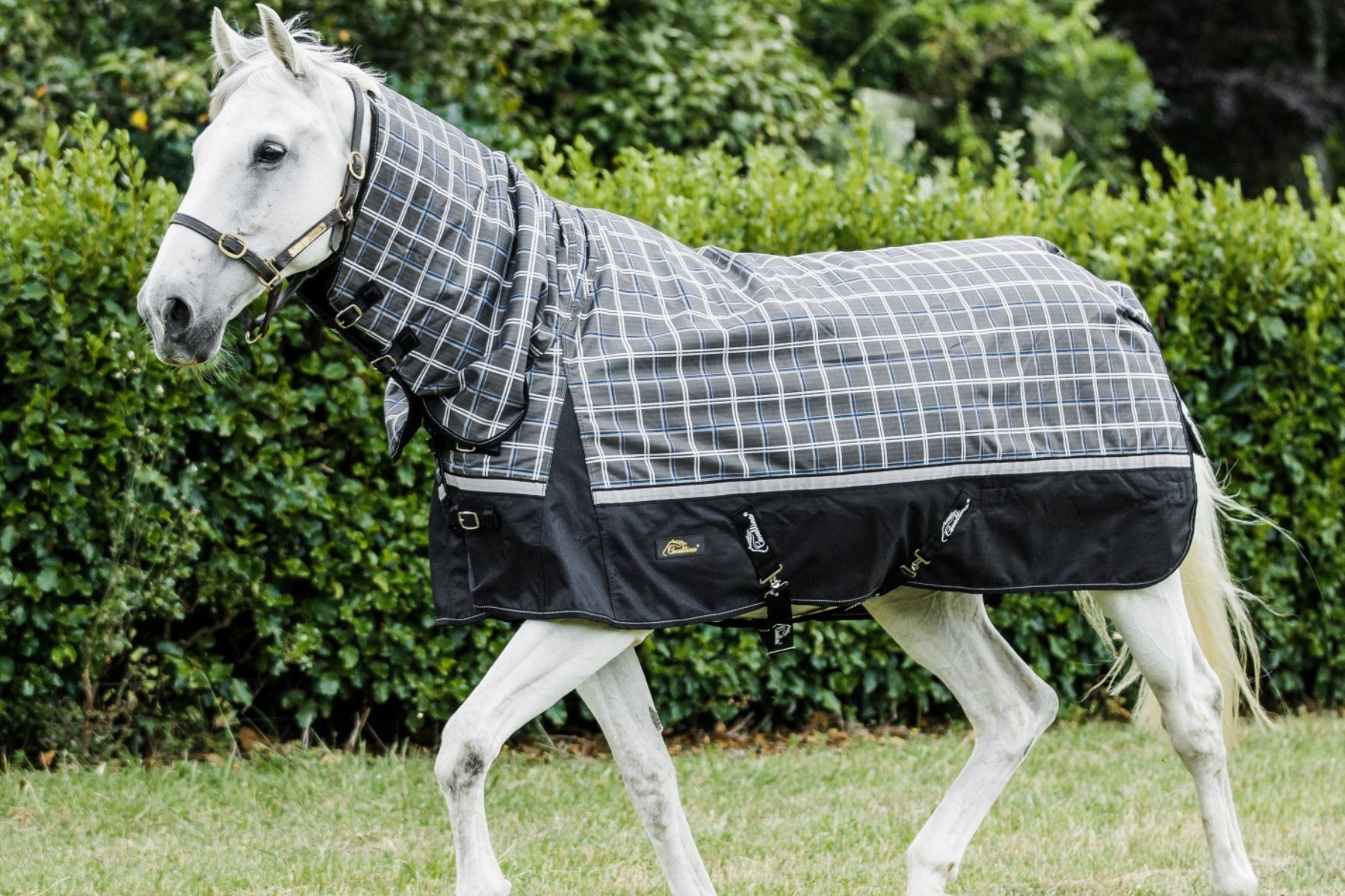 Cavallino Badminton Combo 1200D