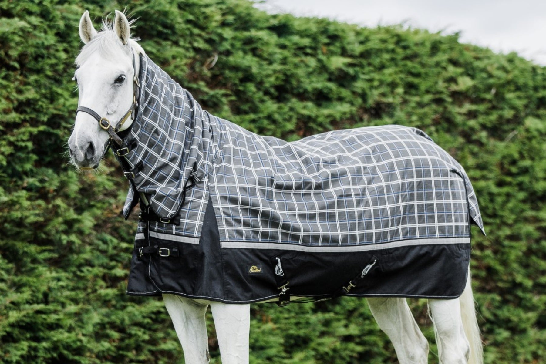 Cavallino Badminton Combo 1200D