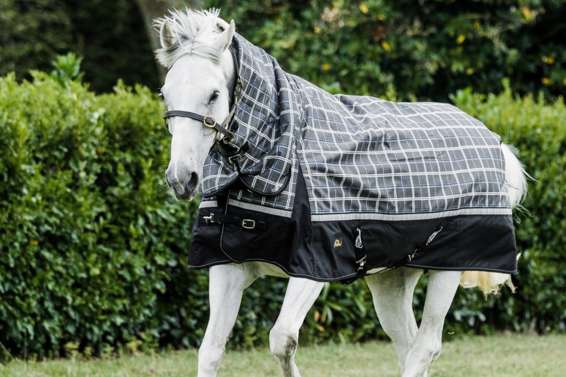 Cavallino Badminton Combo 1200D