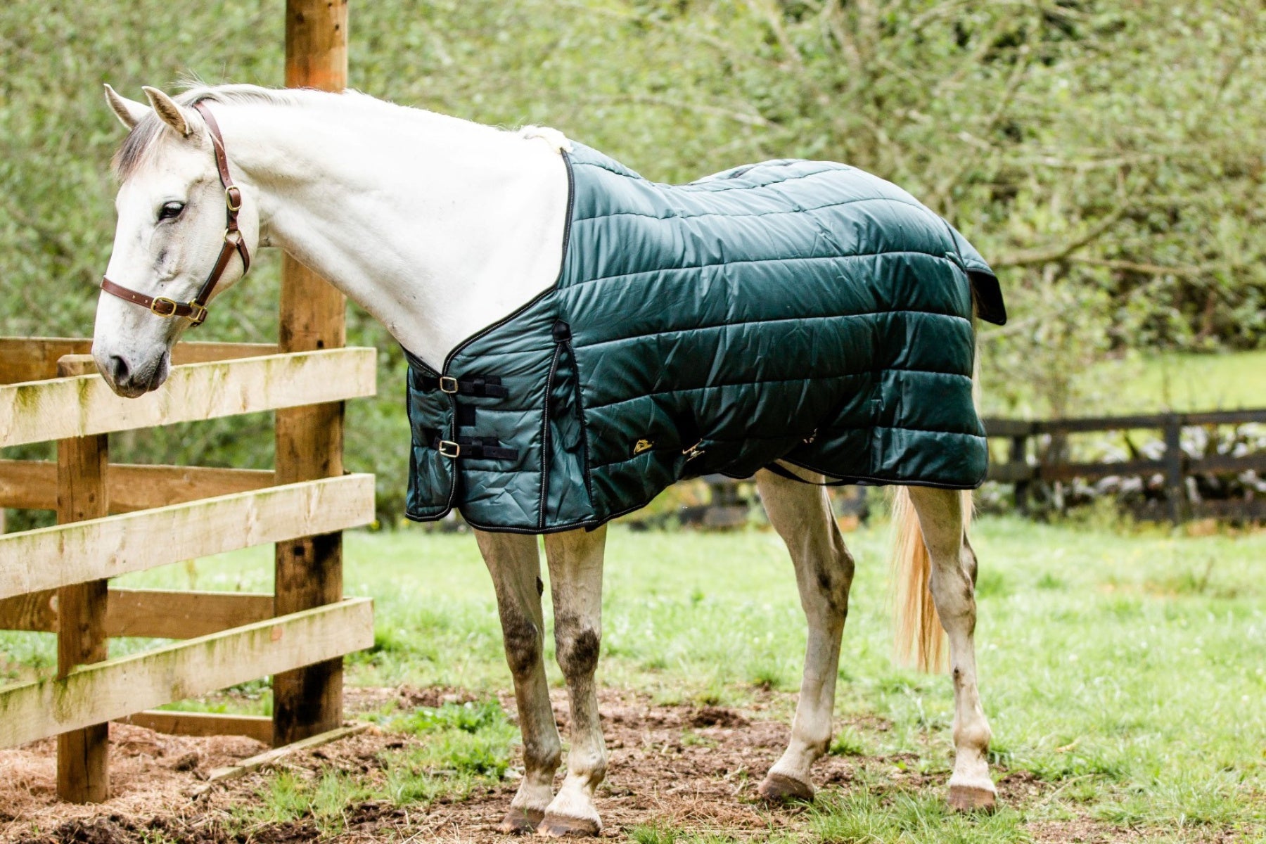 Cavallino Badminton Doona