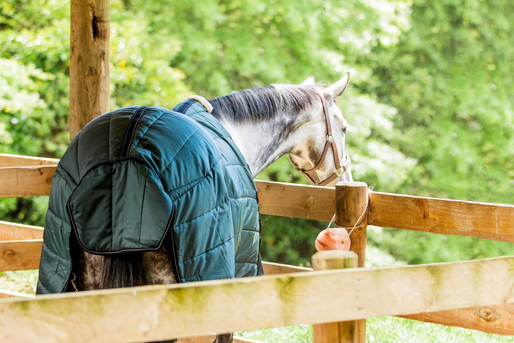 Cavallino Badminton Doona