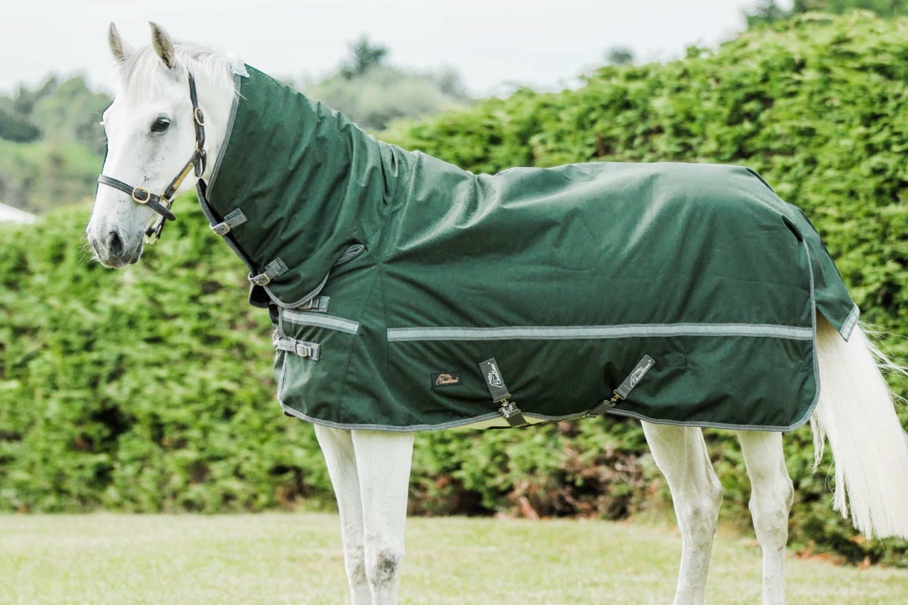 Cavallino Burghley Combo 1680D