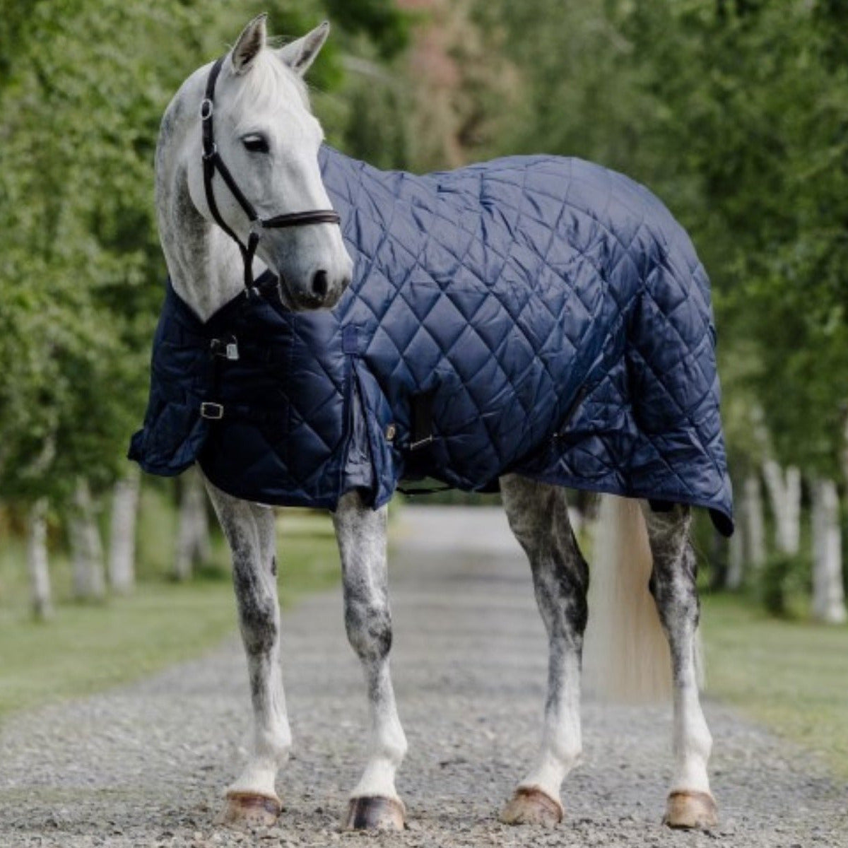 Cavallino Badminton Doona Navy