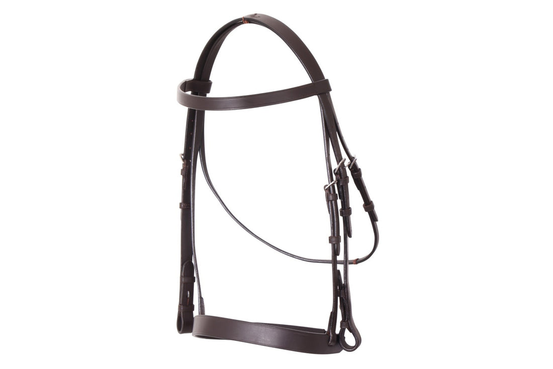 Cavallino Show Bridle