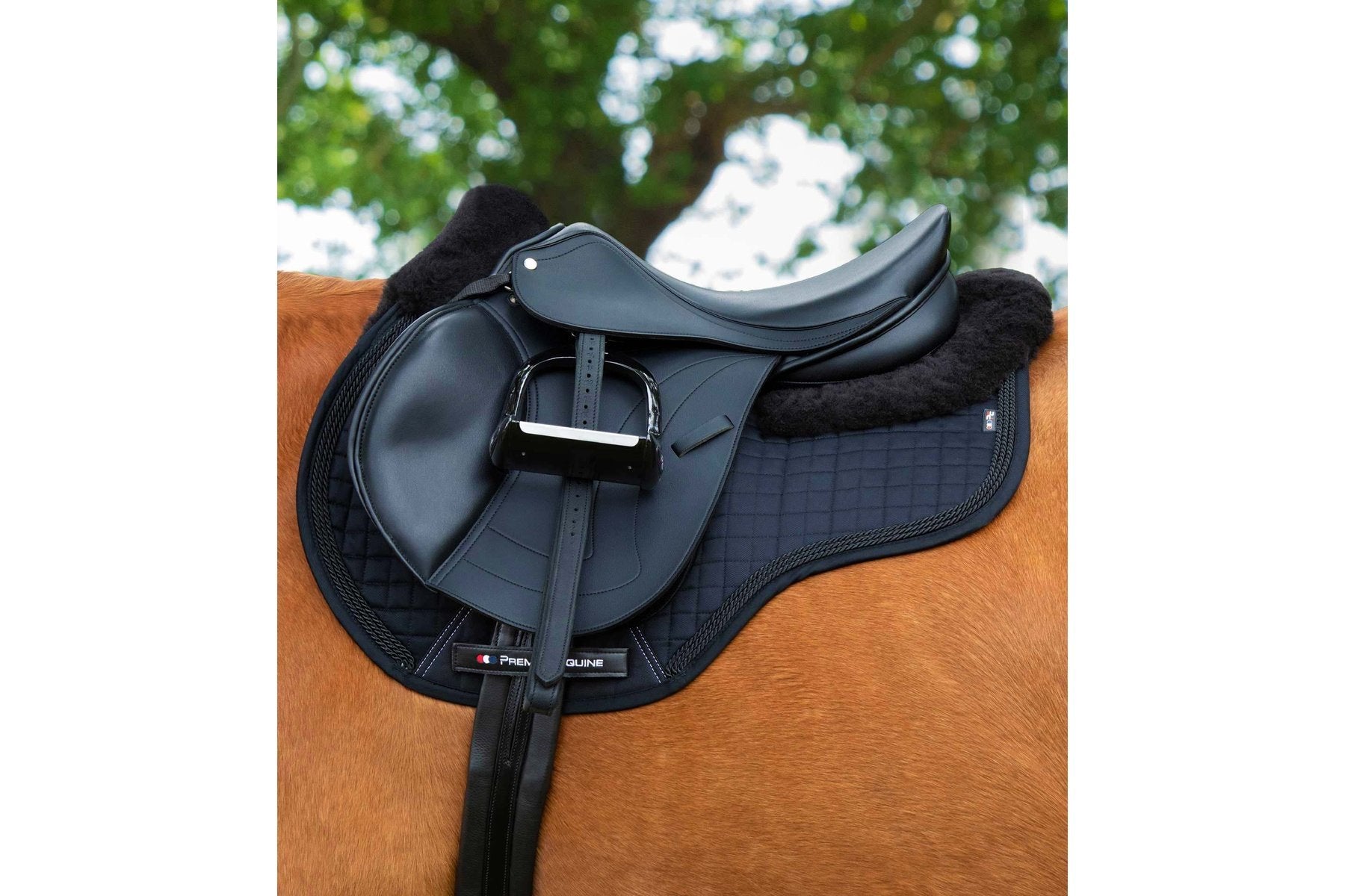 Premier Equine Close Contact Merino Wool European Saddle Pad - GP/Jump Square