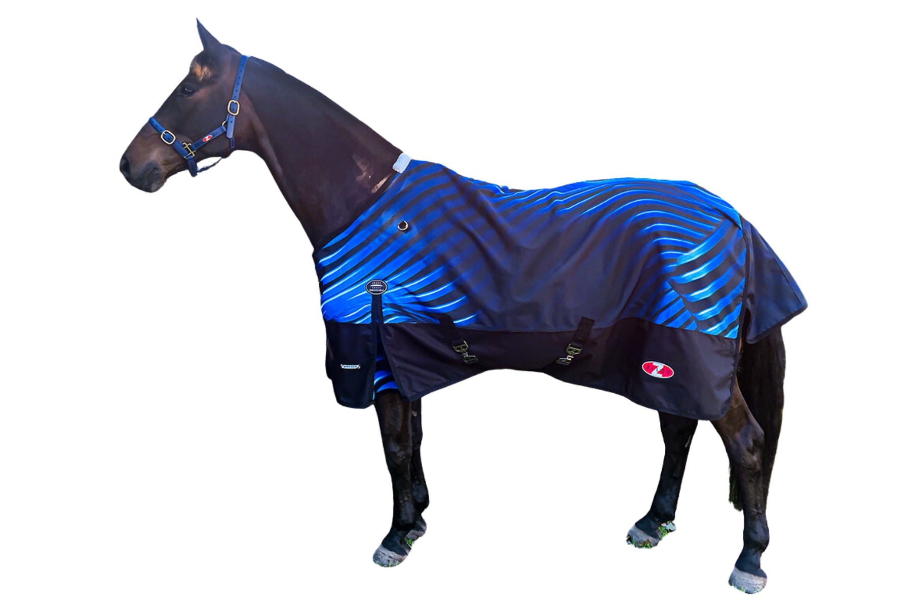 Zilco Crusader 1200d Rug