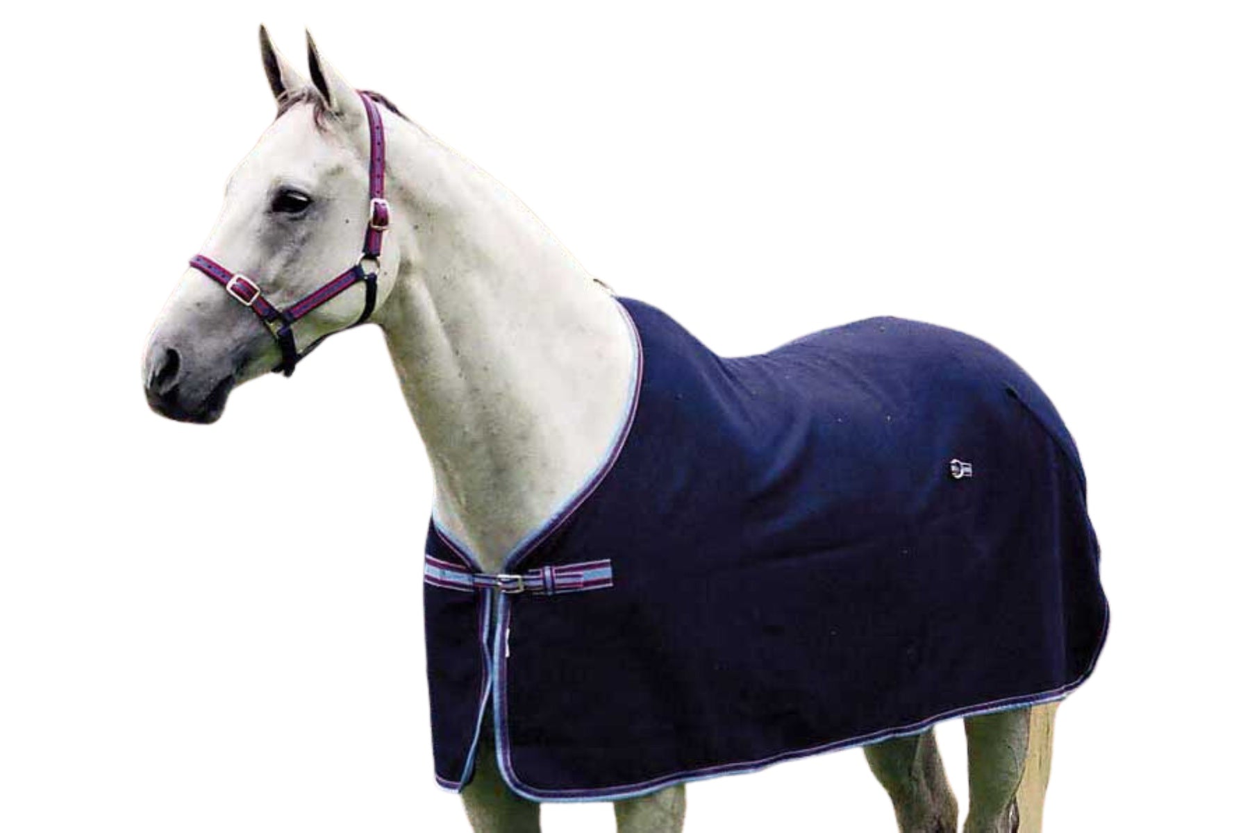 Defender Wool Rug