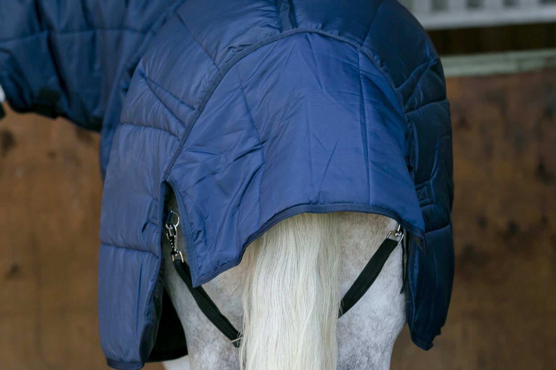 Elite Stable Rug 200g Detach-a-Neck