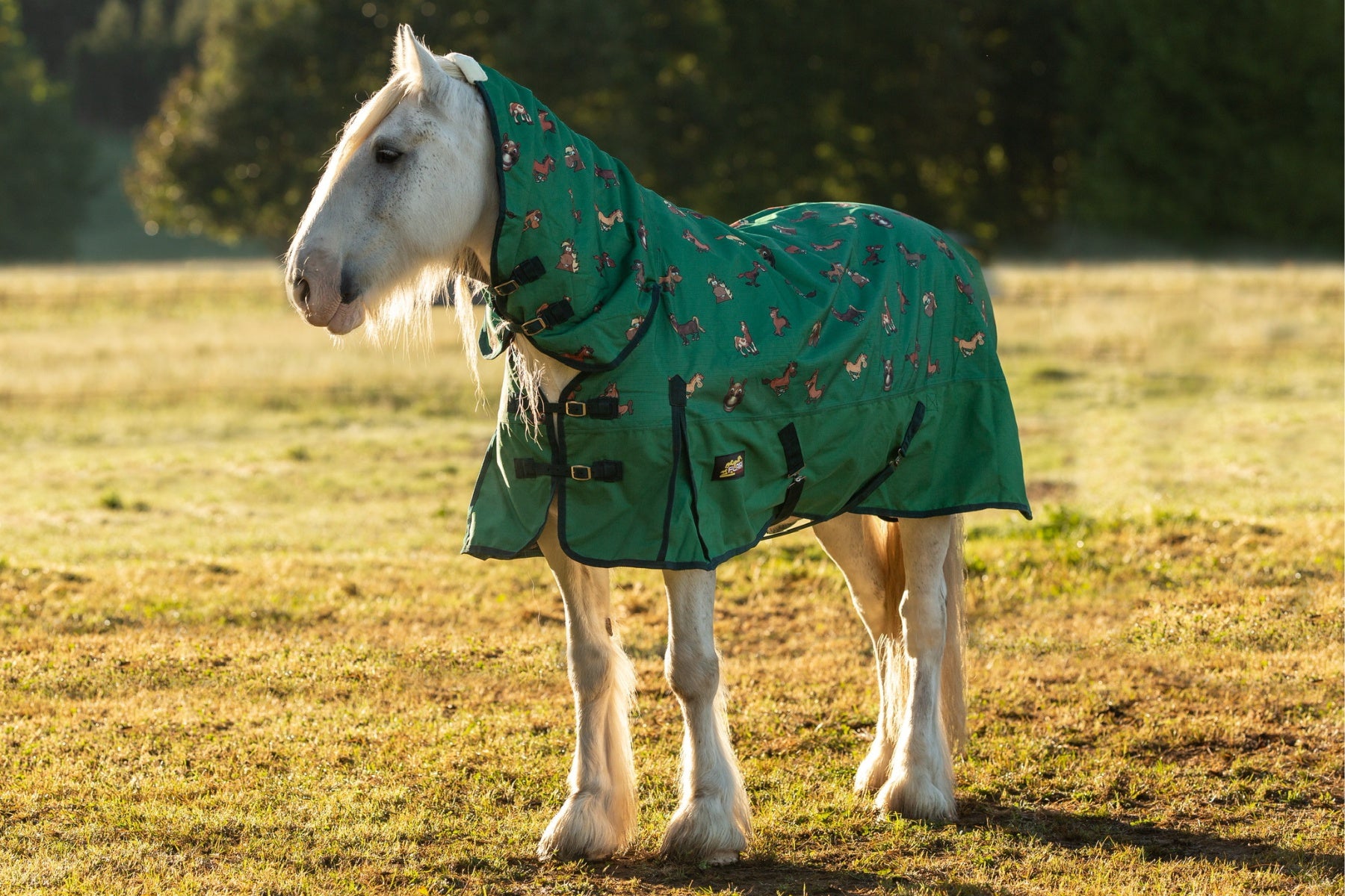 Flair Cartoon Horse Combo 1200D