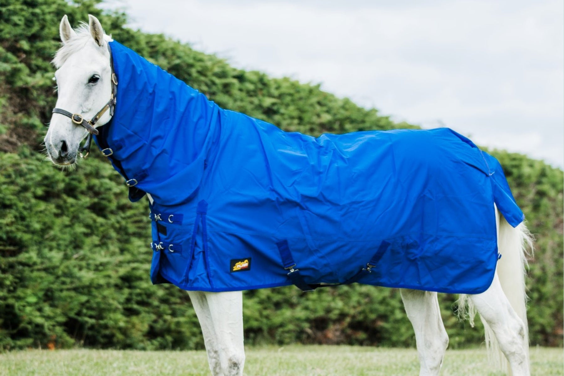 Flair Roxburgh Combo 1200D