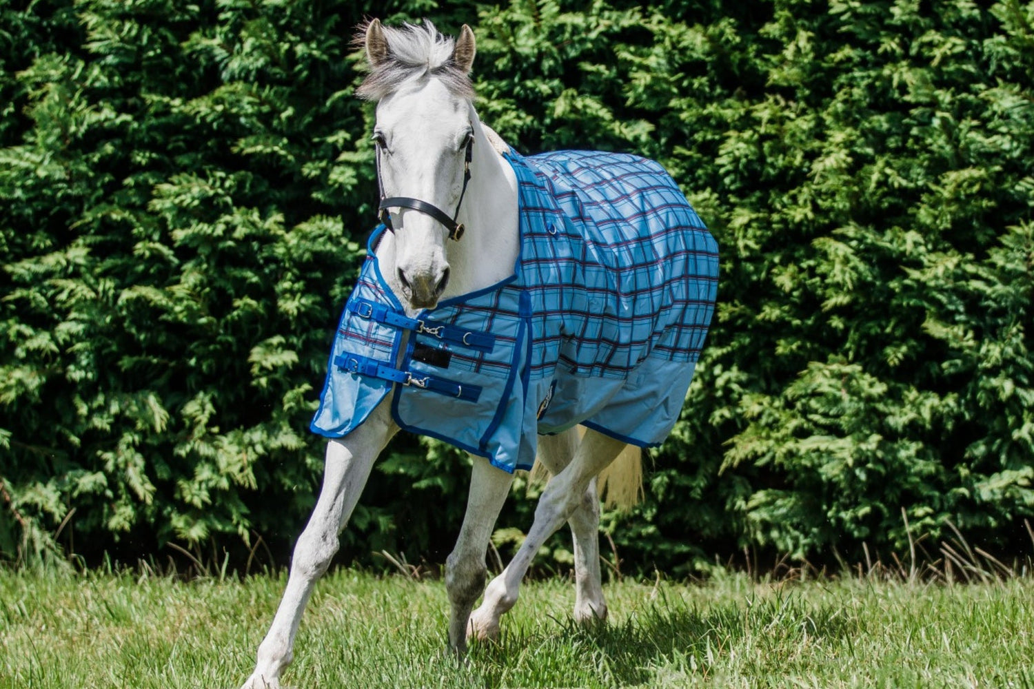 Flair Wanaka Rug 1200D