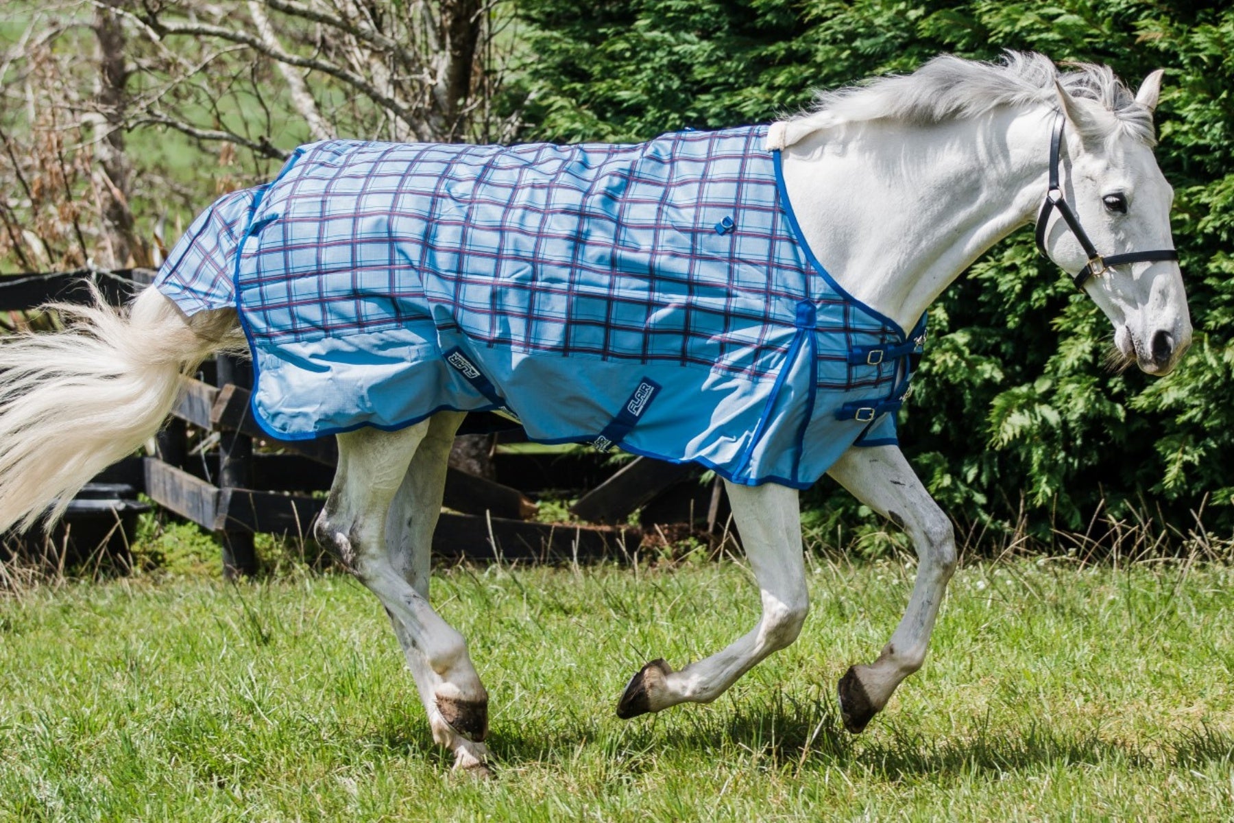 Flair Wanaka Rug 1200D