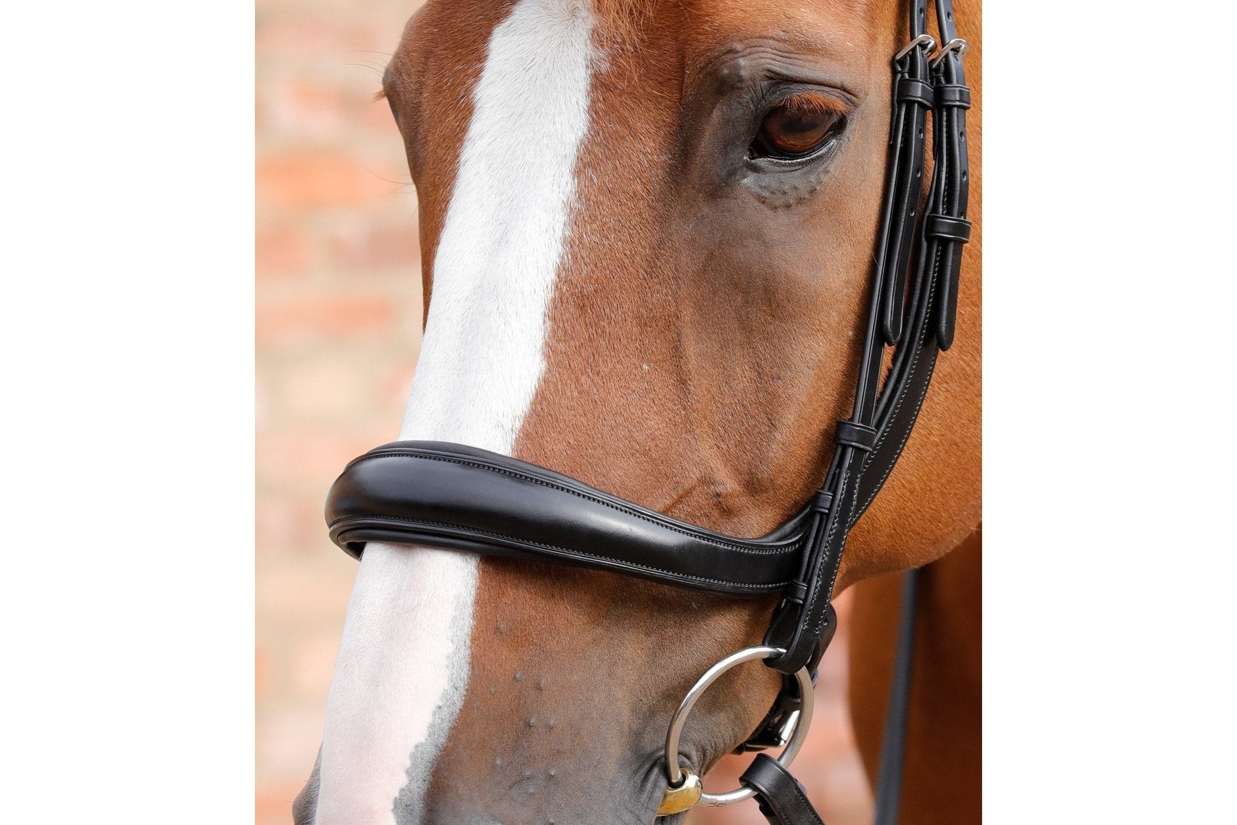 Premier Equine Lambro Anatomic Bridle with Crank Noseband