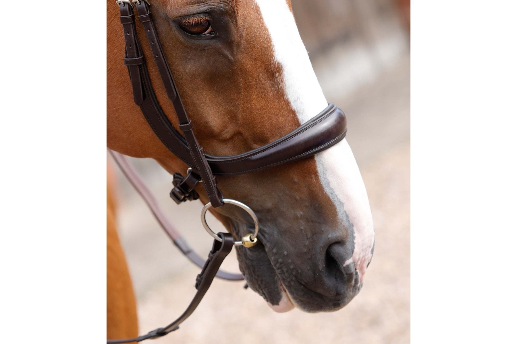 Premier Equine Lambro Anatomic Bridle with Crank Noseband