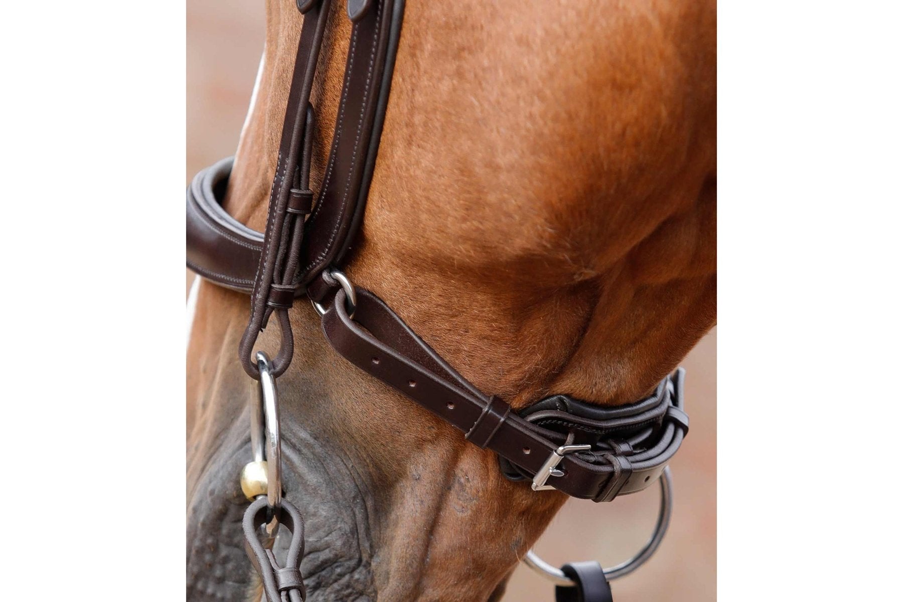 Premier Equine Lambro Anatomic Bridle with Crank Noseband