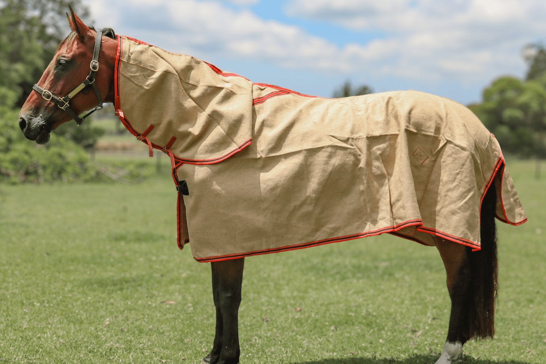Natural Jute Combo