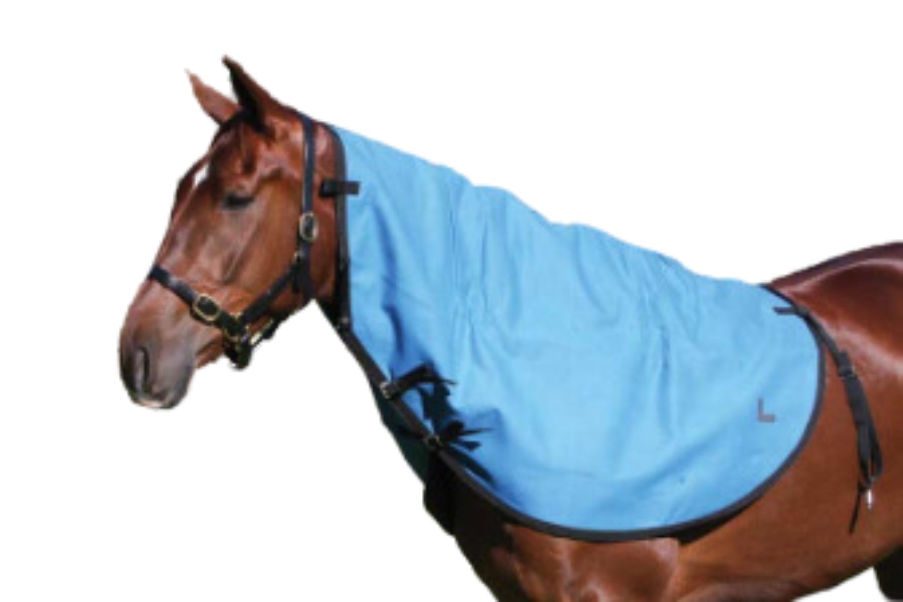 Rip Protector Neck Rug