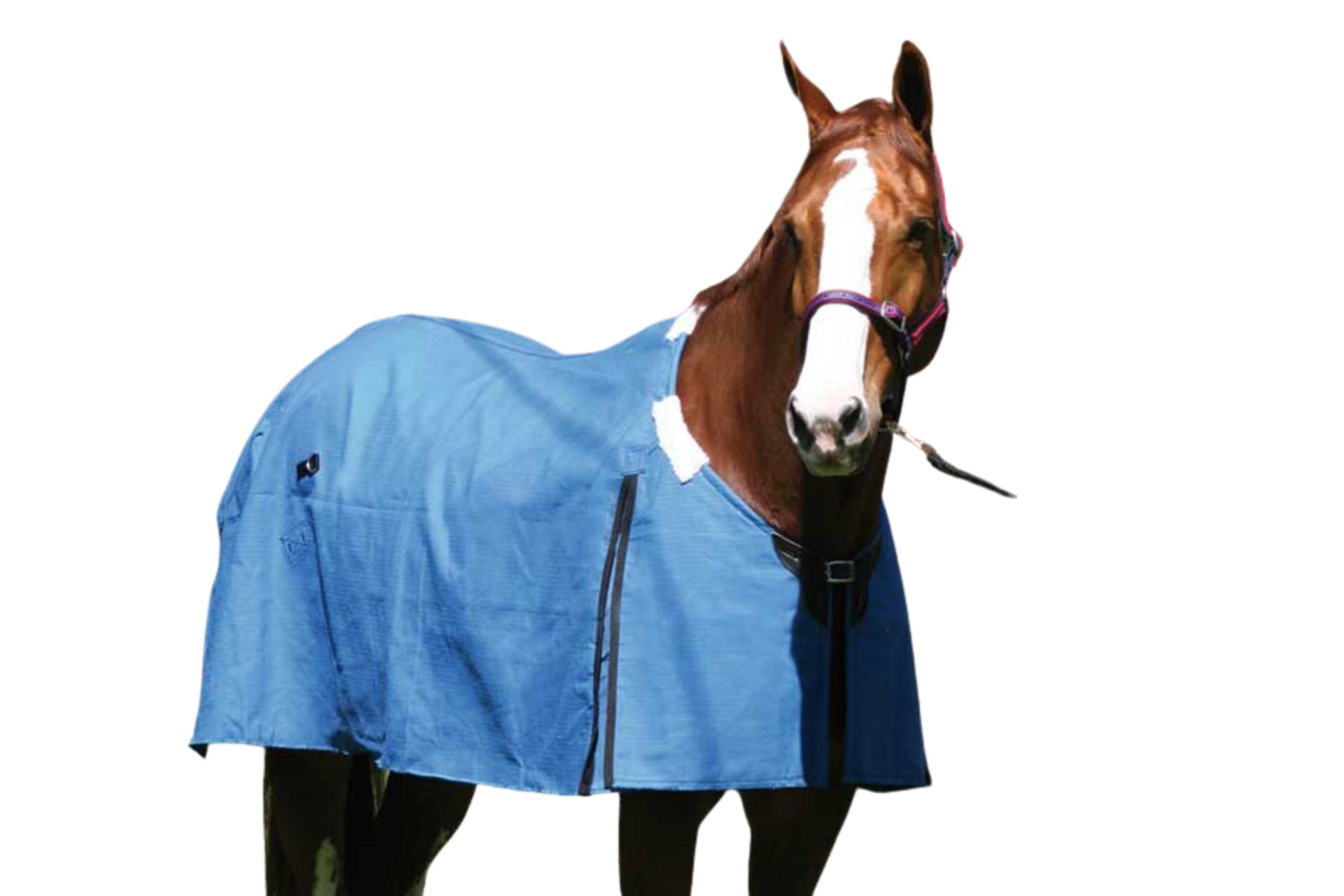 Rip Protector Rug